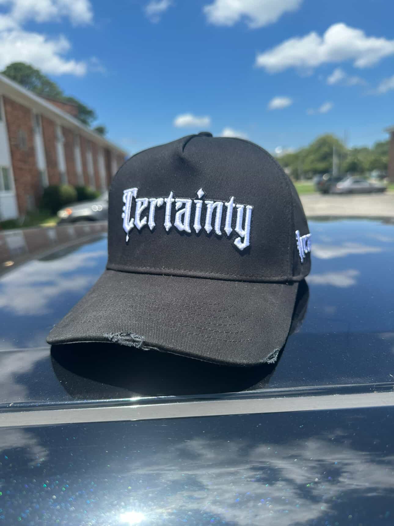 Logo Hat White